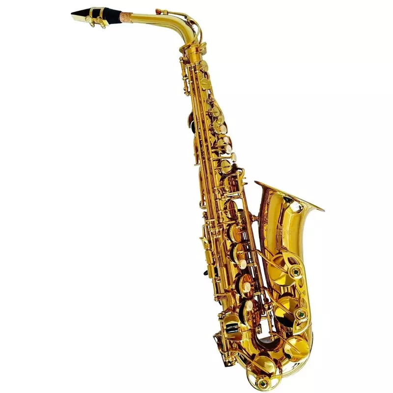 FujinTon AS-200 Student Premium Series Alto Saxophone
RM2200